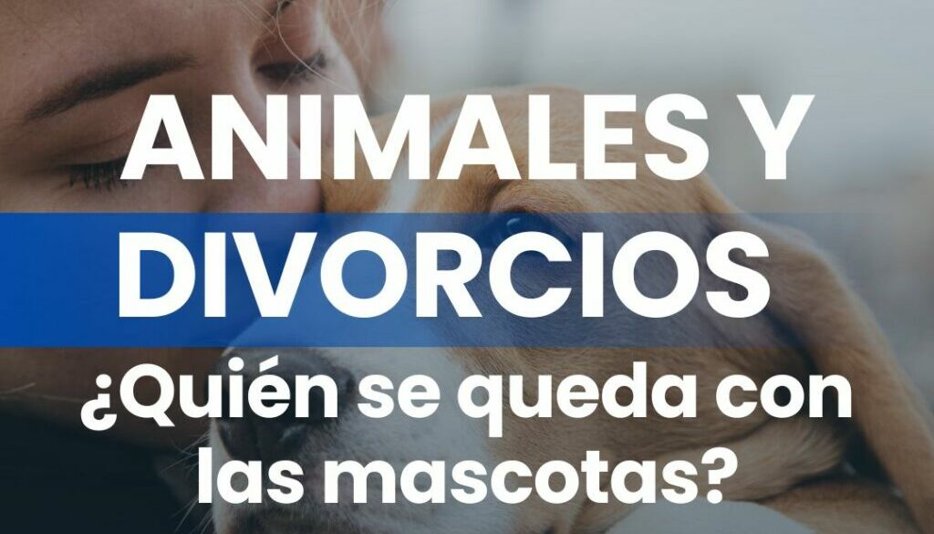 Animales y Divorcios