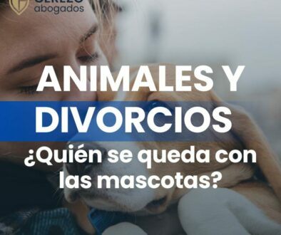 Animales y Divorcios