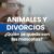 Animales y Divorcios