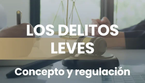 DELITOS-LEVES