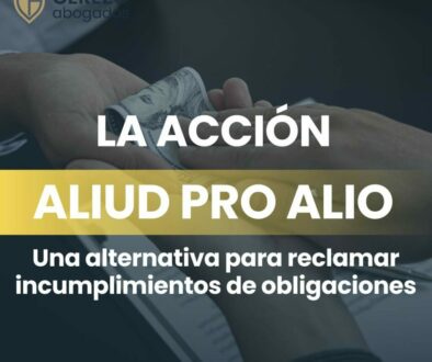 La acción aliud pro alio