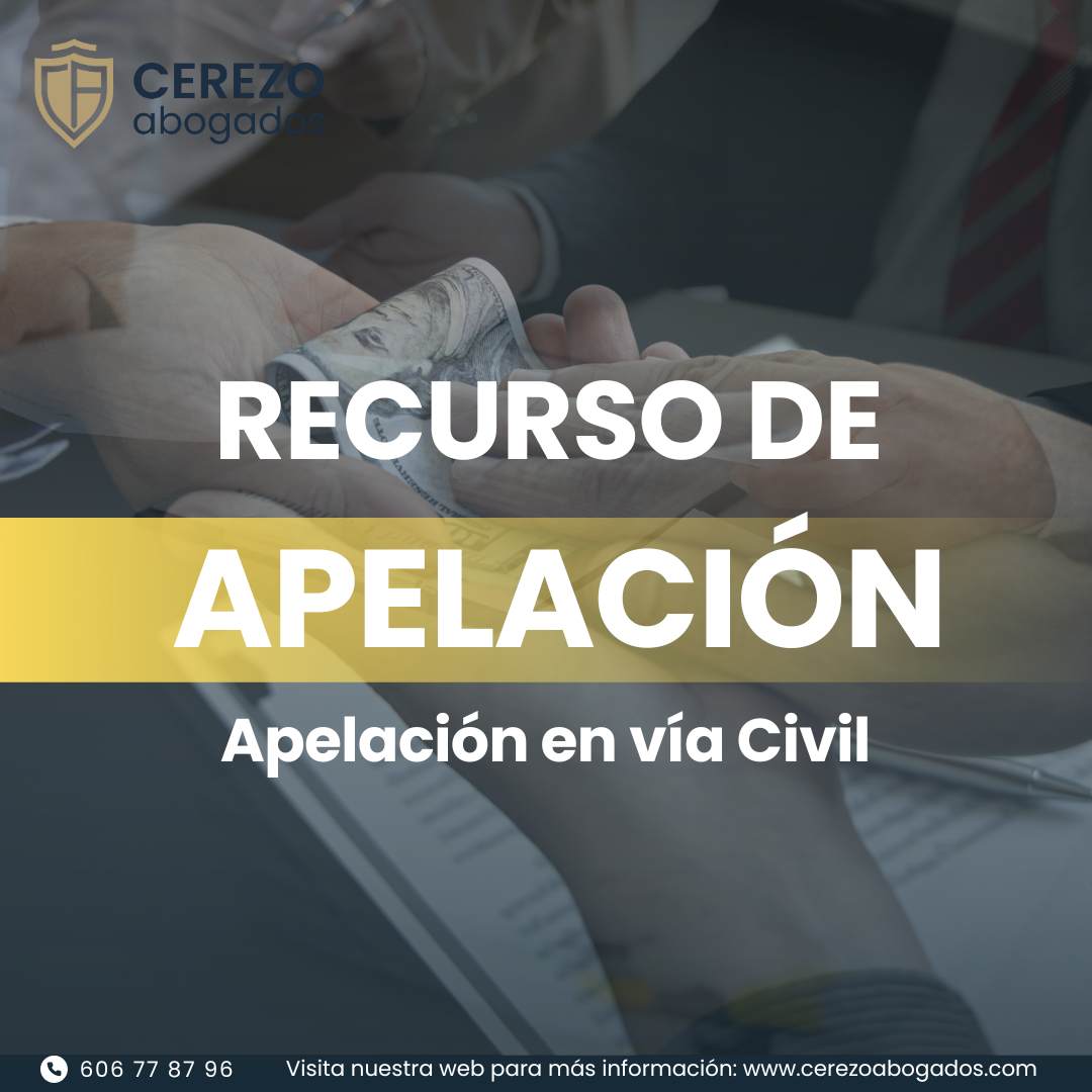 Qué es el recurso de apelación